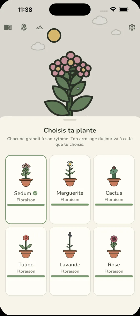 Le choix des plantes dans Sedum